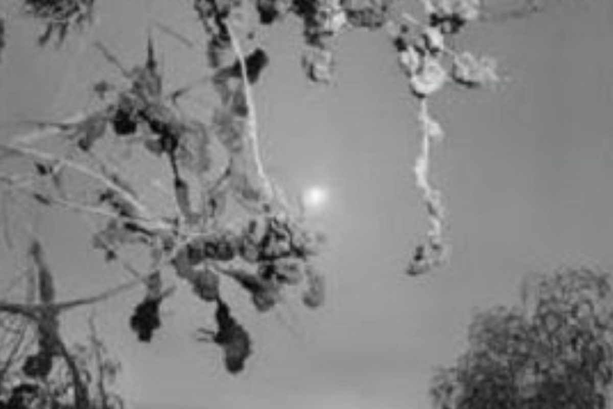 A life navigated through photography